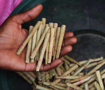 beedi-industry